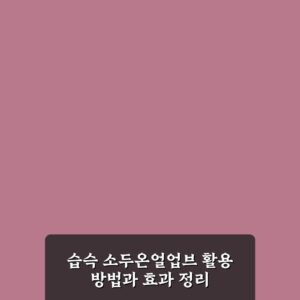 습슥 소두온얼업브 활용 방법과 효과 정리
