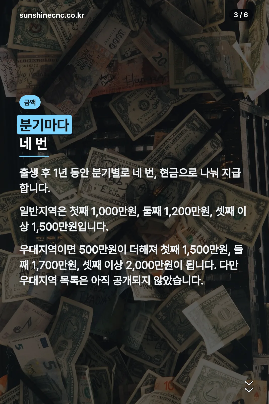 지원금 금액