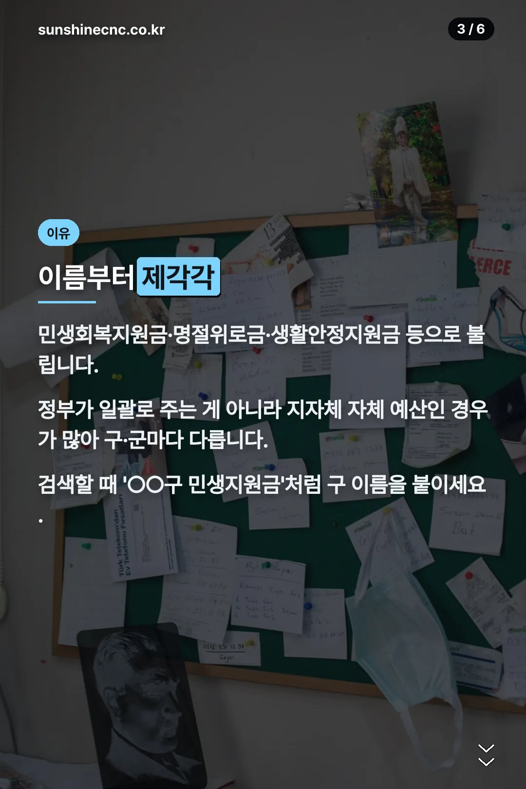 정보가 제각각인 이유