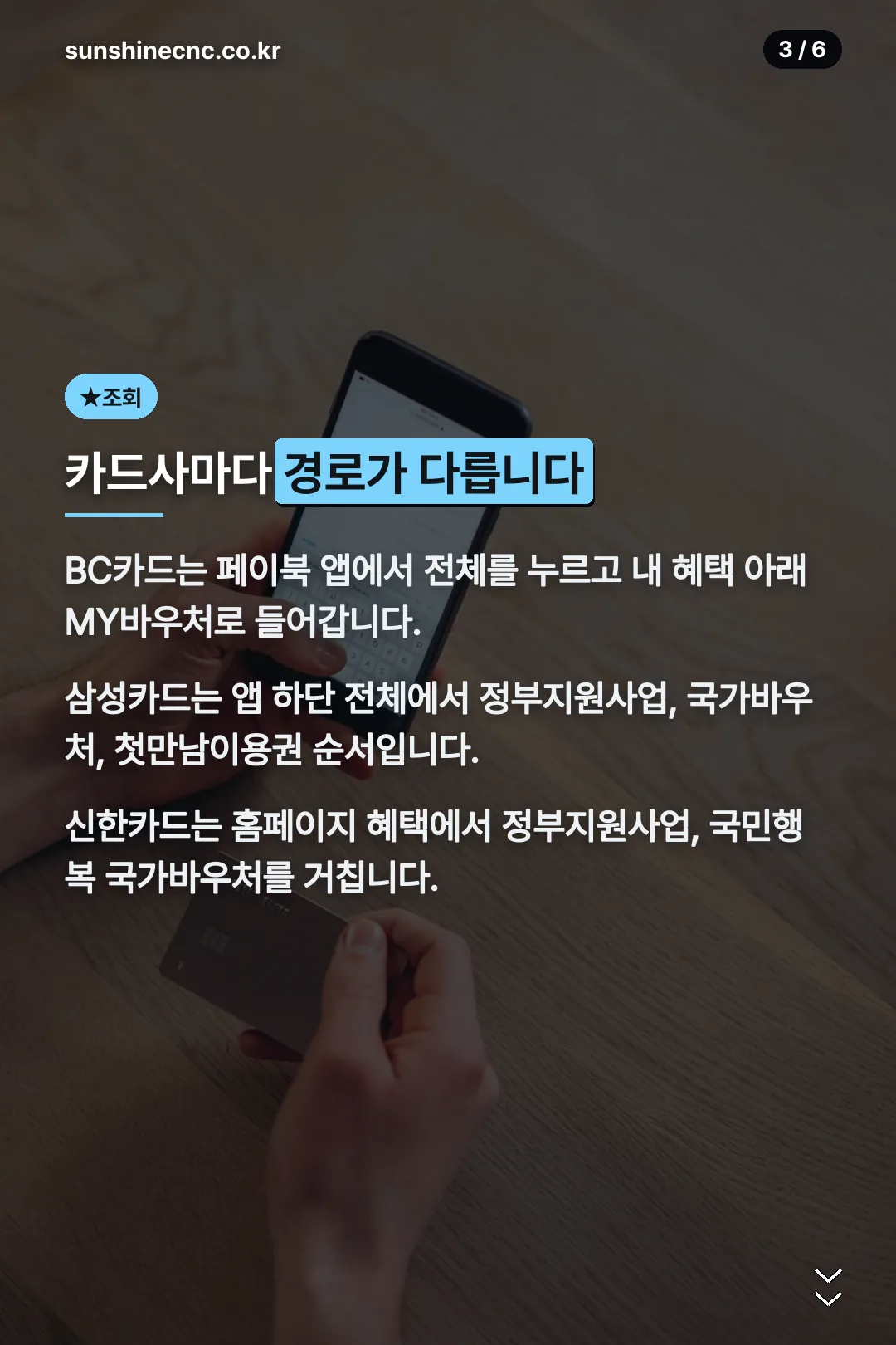 카드사별 조회 경로