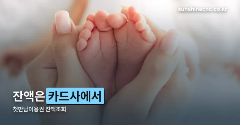 첫만남이용권 잔액조회 — 카드사별 경로와 2년 사용기한