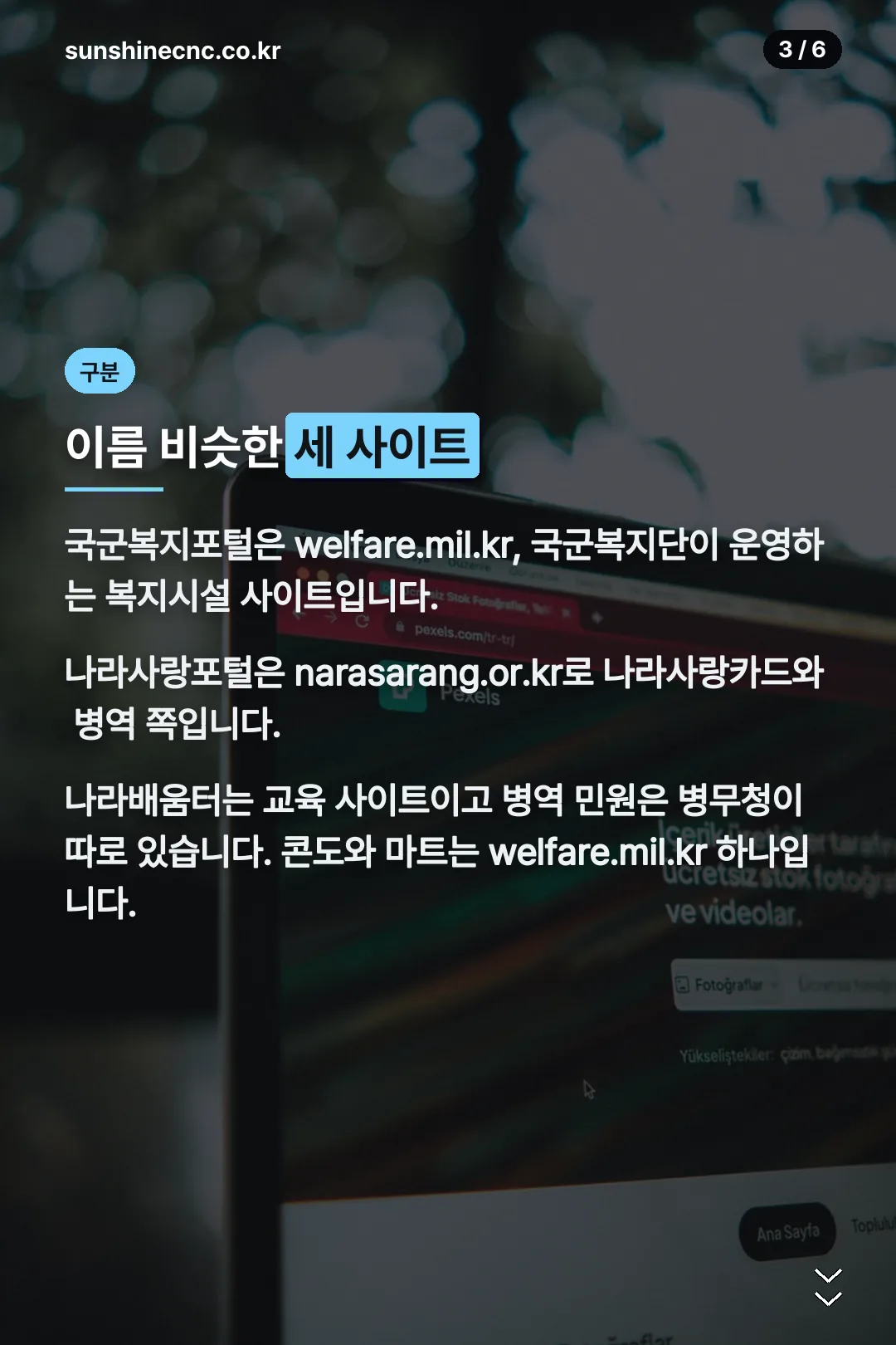 헷갈리는 세 사이트