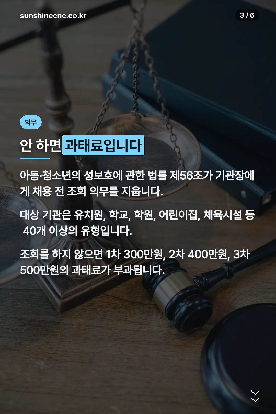조회 의무와 과태료