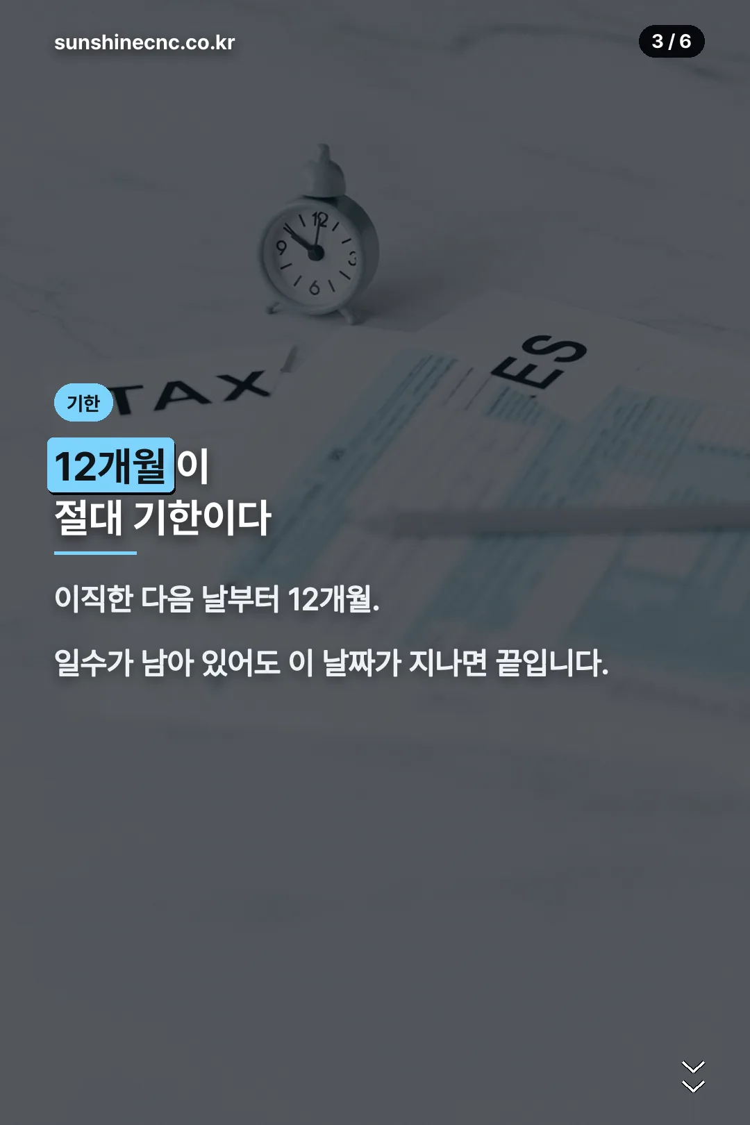 12개월 기한