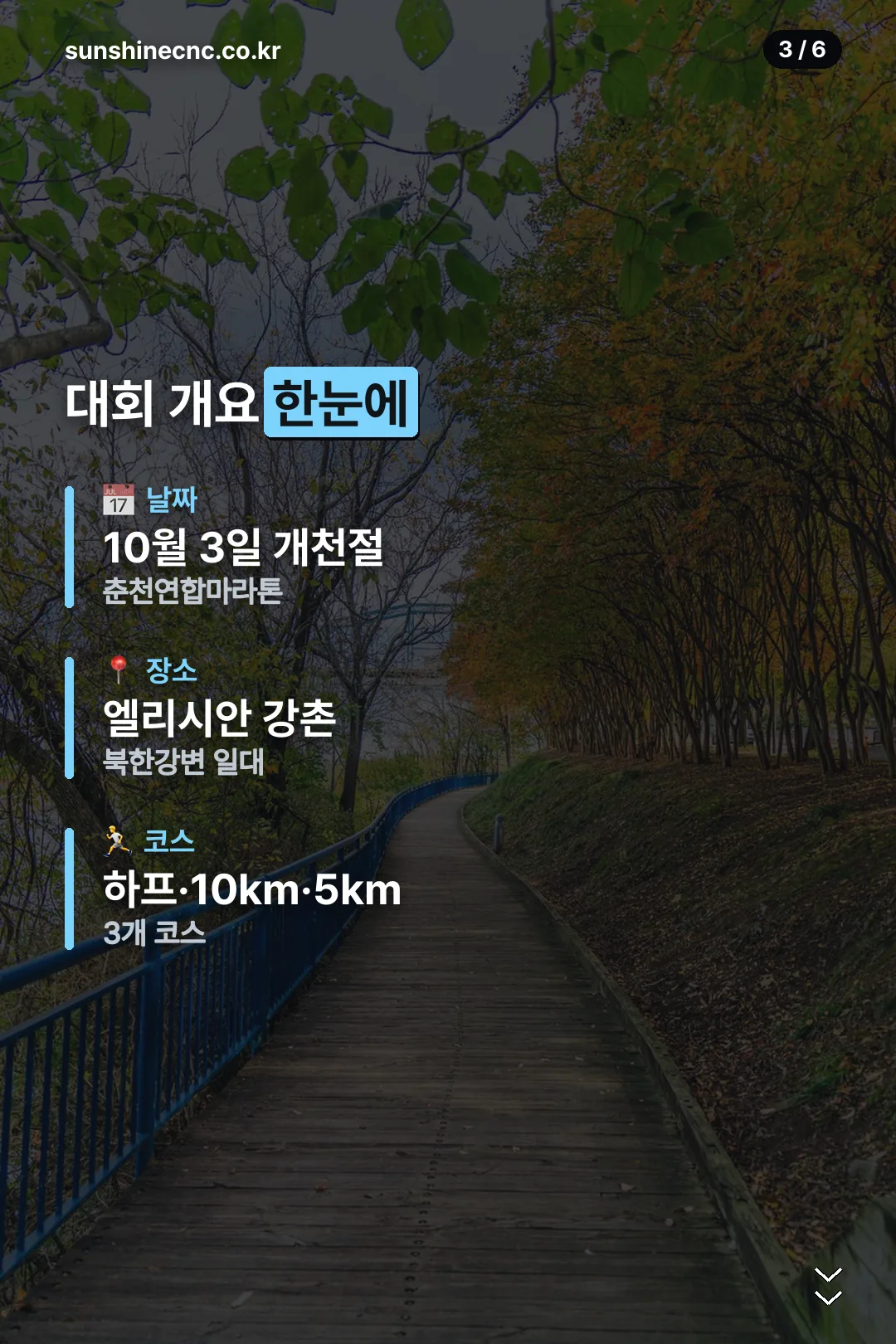 대회 개요 한눈에