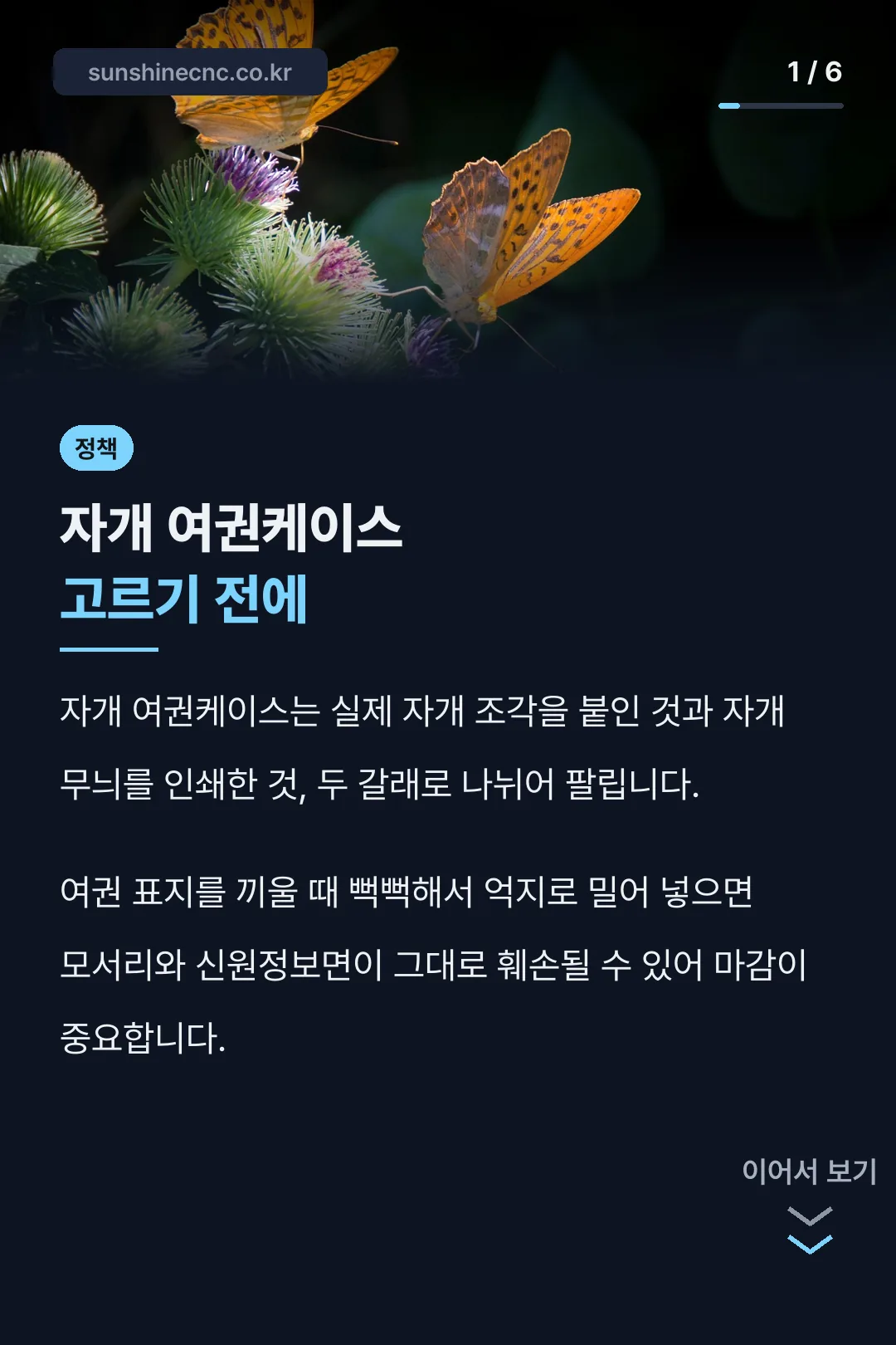 자개 여권케이스 고르기 전에