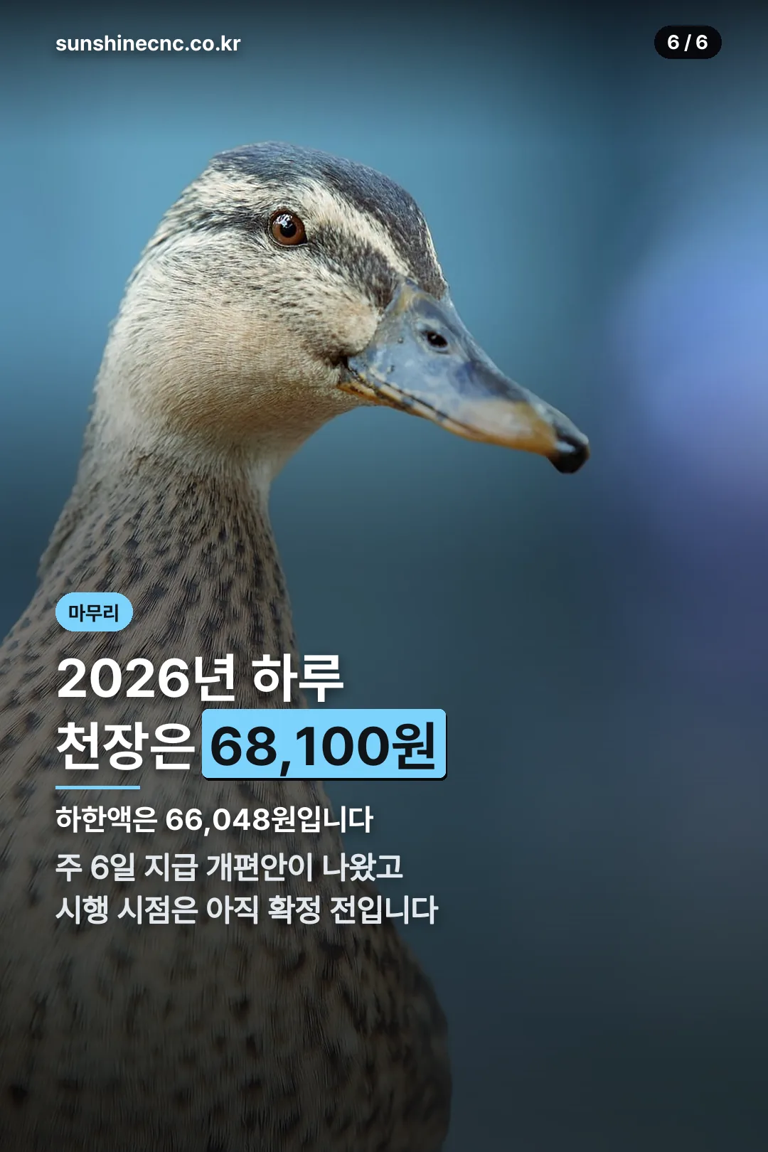 2026년 상한액 마무리
